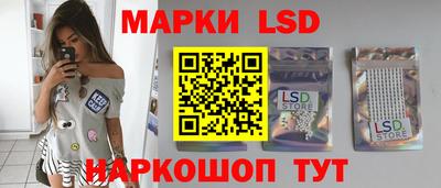 apvp Нальчик