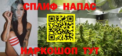 apvp Нальчик