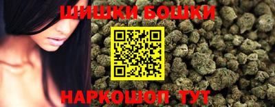 apvp Нальчик