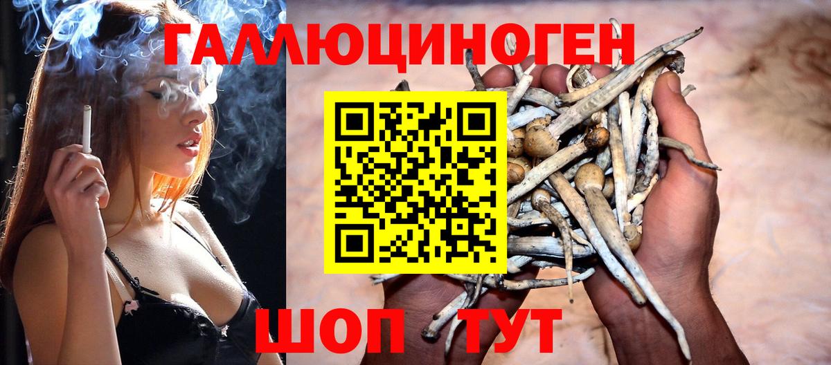 Галлюциногенные грибы ЛСД  Вход с VPN  Тимашёвск 